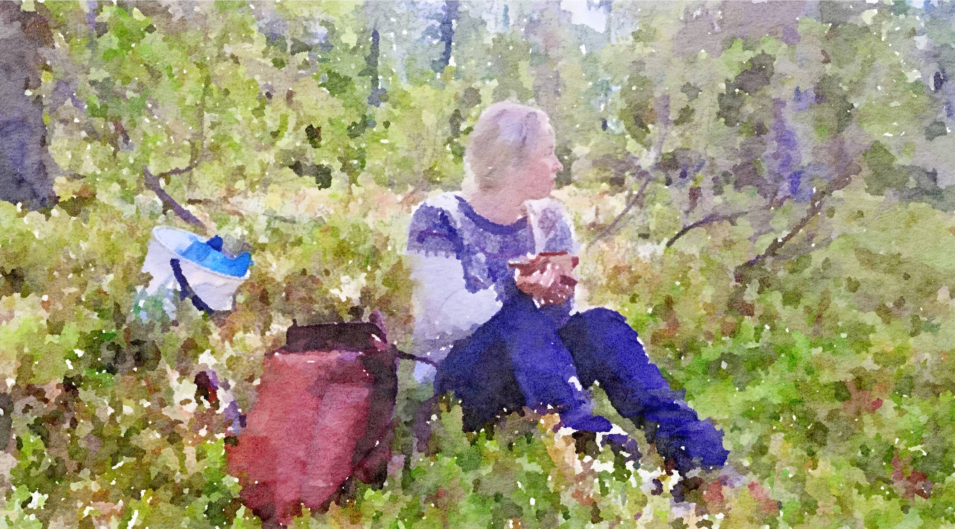 How to Find Calm in a Busy World